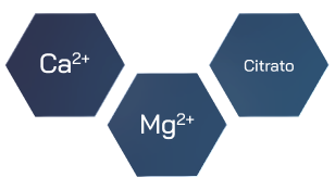Group 48095651
