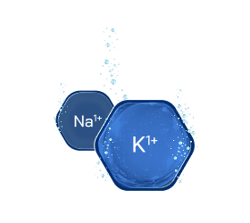 1-hexagono