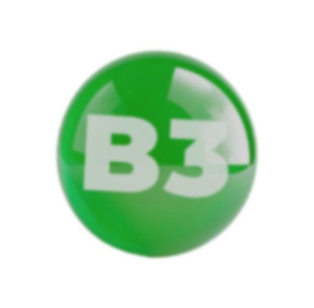 B3