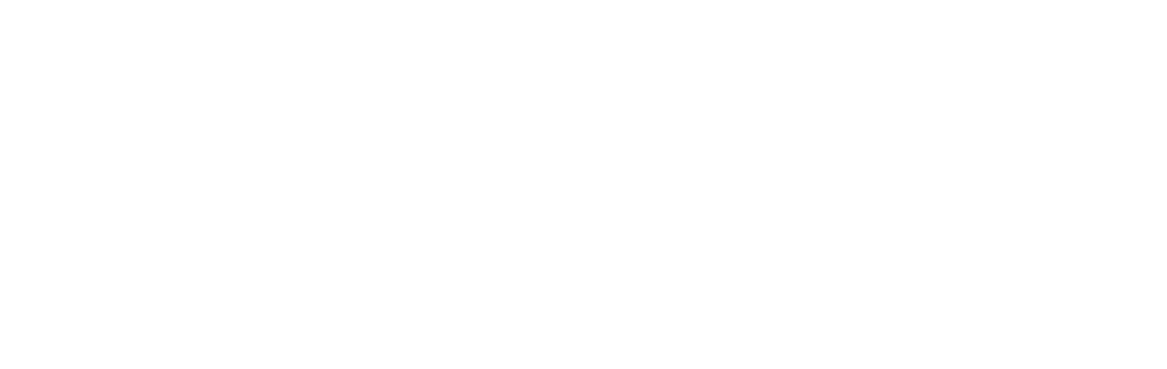 NUEVO-1