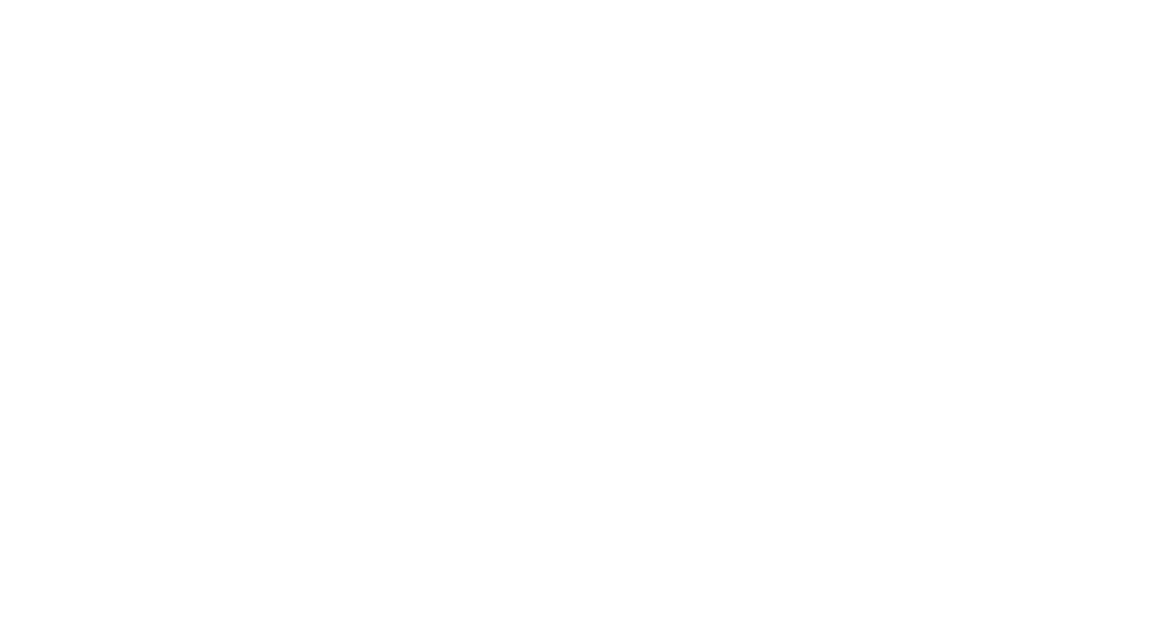 NUEVO